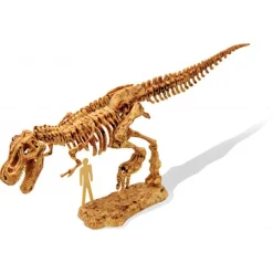 Buki Dinokit Uitgraafset Tyrannosaurus