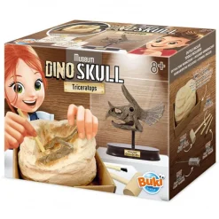 Buki Uitgraafset Dinosaurusschedel Triceratops