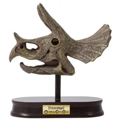 Buki Uitgraafset Dinosaurusschedel Triceratops