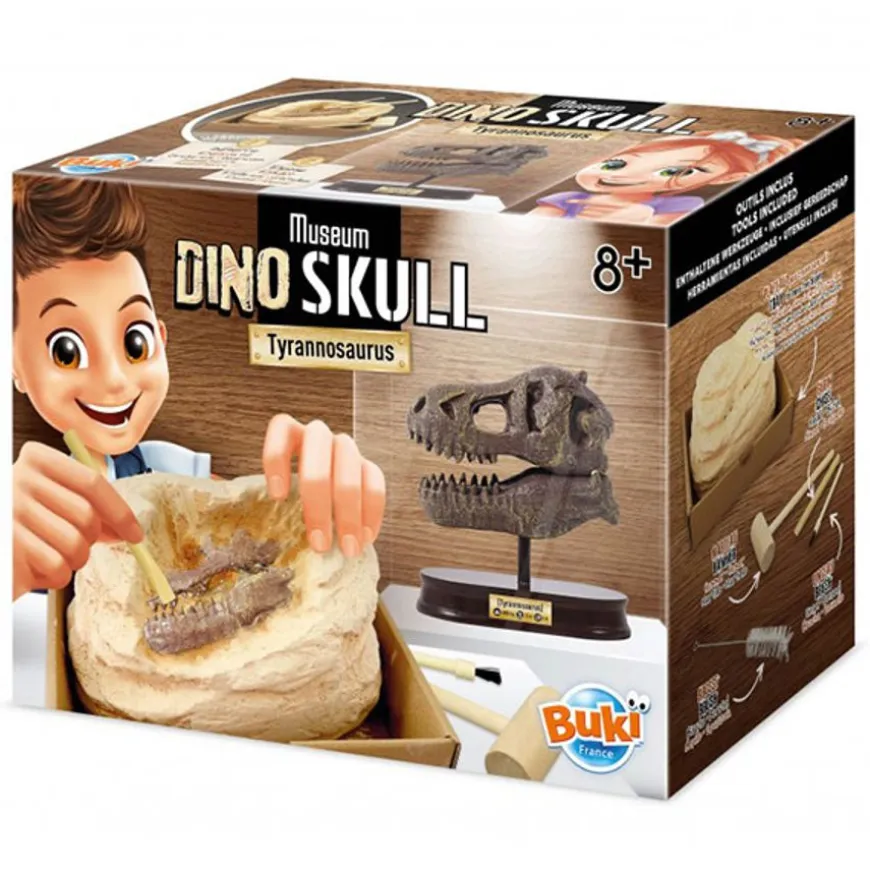 Buki Uitgraafset Dinosaurusschedel T-Rex