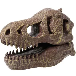 Buki Uitgraafset Dinosaurusschedel T-Rex