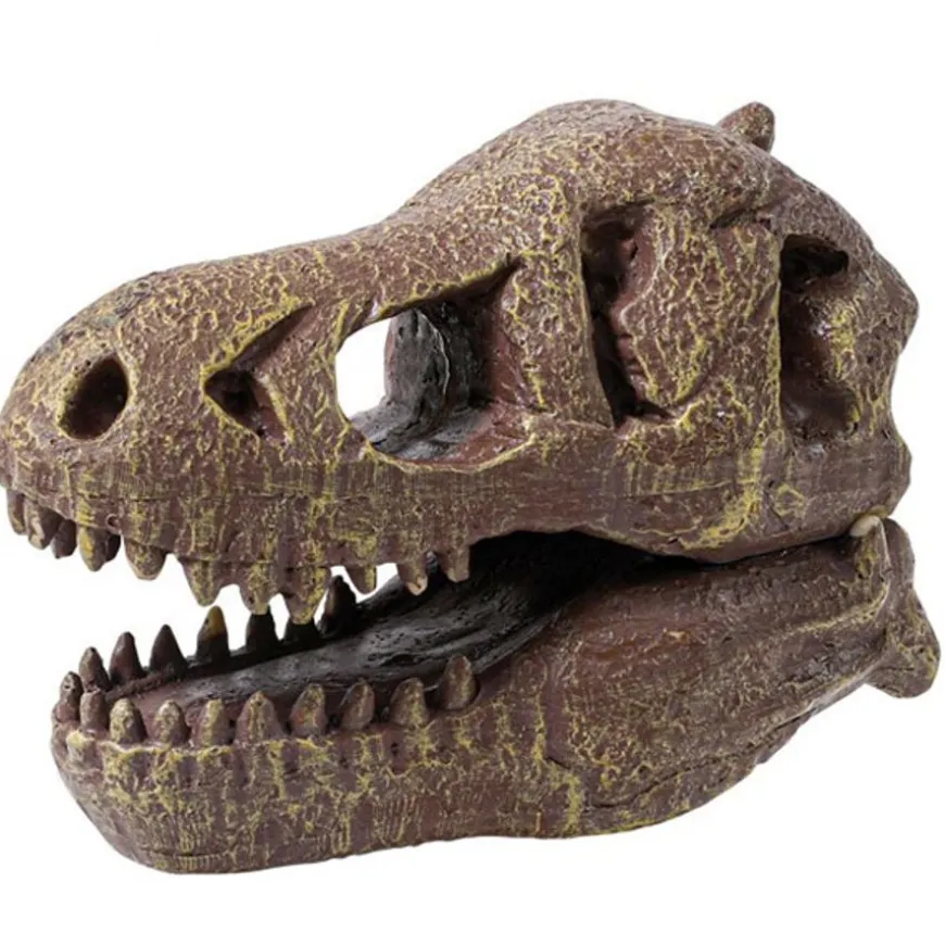 Buki Uitgraafset Dinosaurusschedel T-Rex