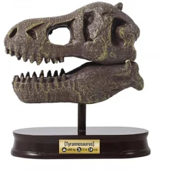 Buki Uitgraafset Dinosaurusschedel T-Rex
