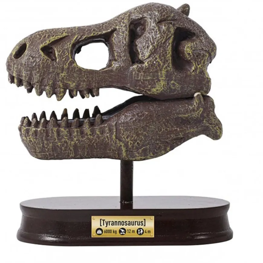 Buki Uitgraafset Dinosaurusschedel T-Rex