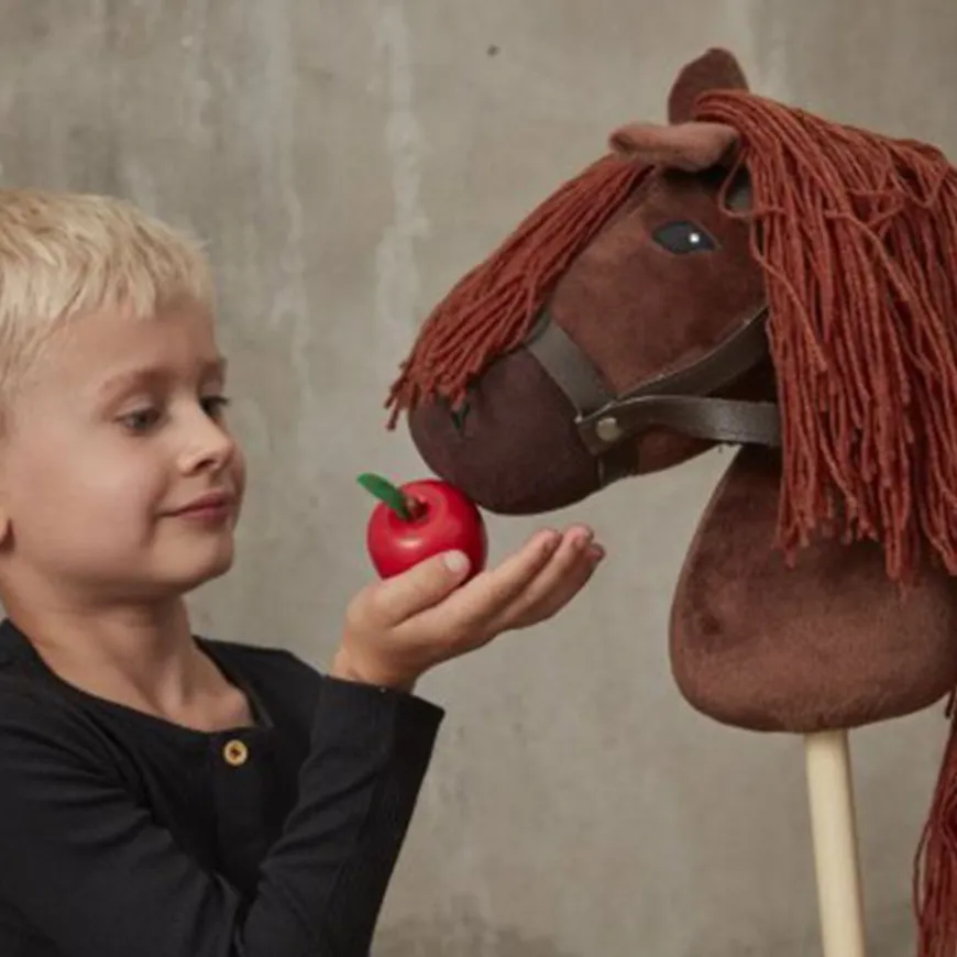 By Astrup Verzorgingsset Voor Stokpaarden