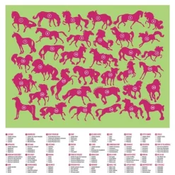 Crocodile Creek Puzzel 36 Paarden 100St