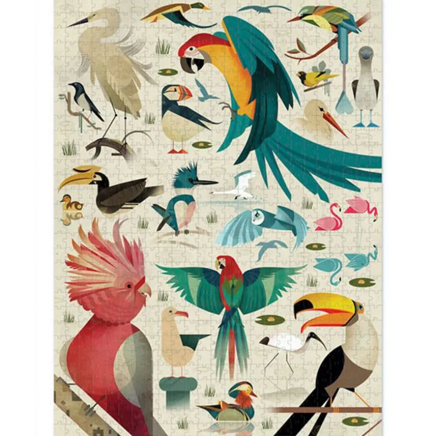 Crocodile Creek Puzzel World Of Birds 750 Stukjes