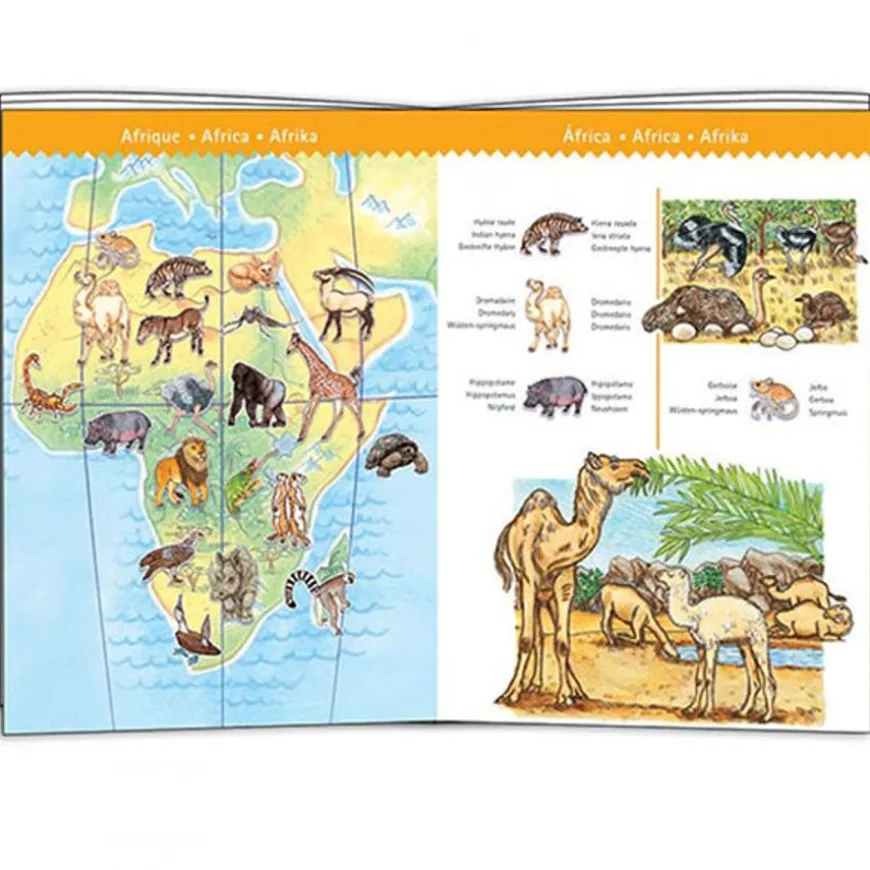 Djeco Puzzel Dieren Van De Wereld 100St