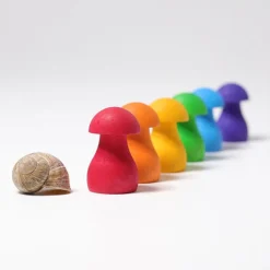 Grimm'S Regenboog Paddenstoelen