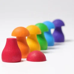 Grimm'S Regenboog Paddenstoelen