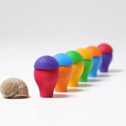 Grimm'S Regenboog Paddenstoelen
