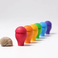 Grimm'S Regenboog Paddenstoelen