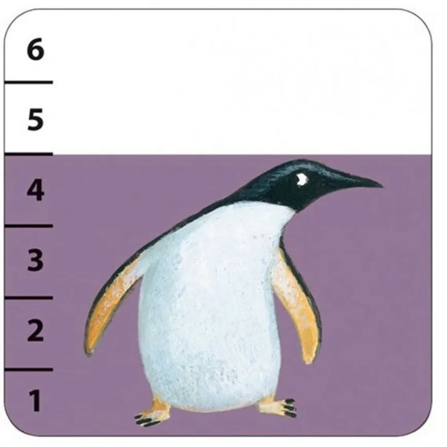 Kaartspel Batanimo - Djeco