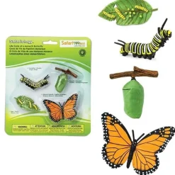 Levenscyclus Monarchvlinder Safari Ltd