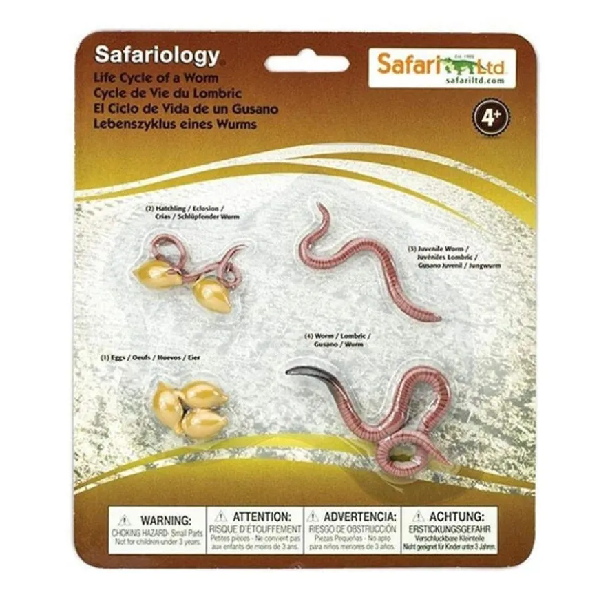 Levenscyclus Worm Safari Ltd