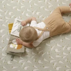Little Dutch Activiteitenboekje Little Goose