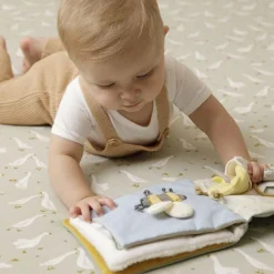 Little Dutch Activiteitenboekje Little Goose