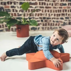 Moes Play Zeester Balance Board