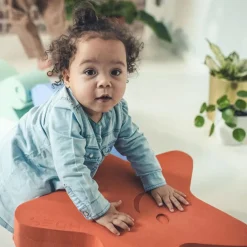 Moes Play Zeester Balance Board