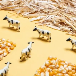 Petit Boum Sensorische Fles - Farm