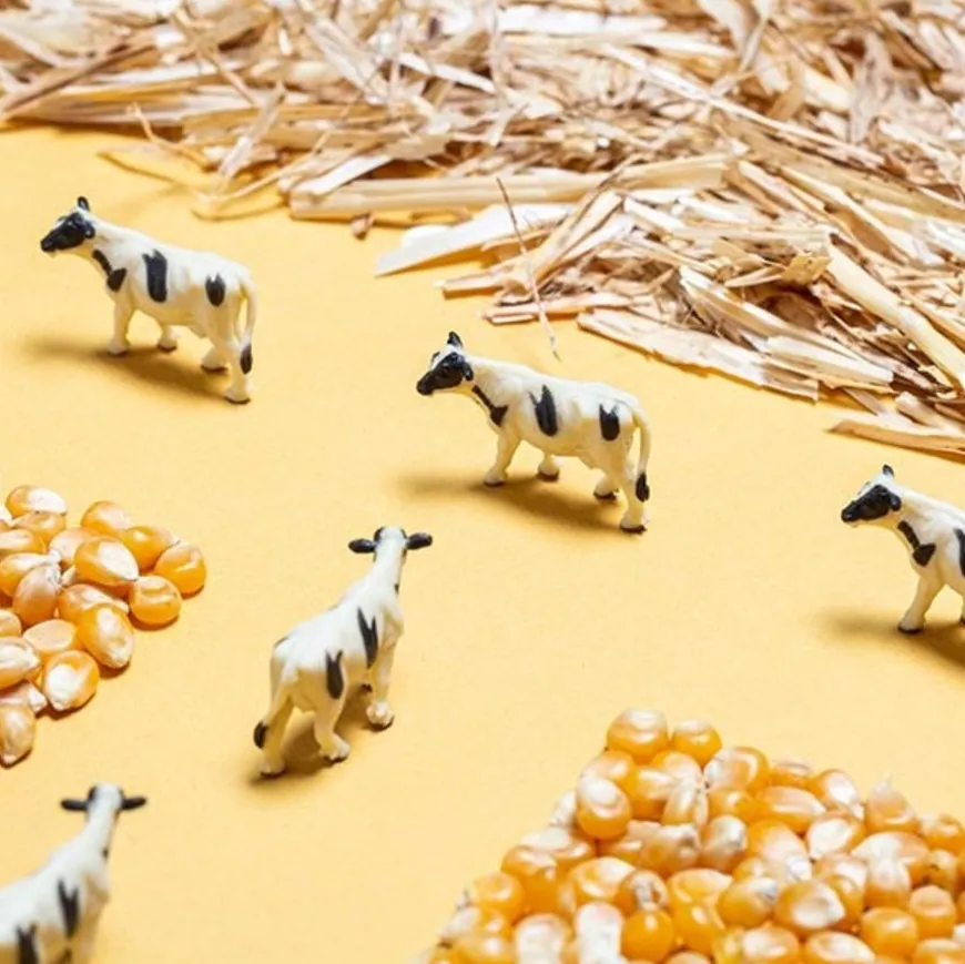 Petit Boum Sensorische Fles - Farm