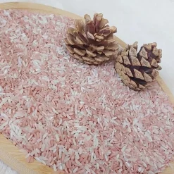 Rijzt Houten Schaaltje Vierkant 7 Cm