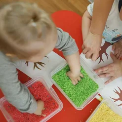 Rijzt Speelrijst 500 Gr - Frozen