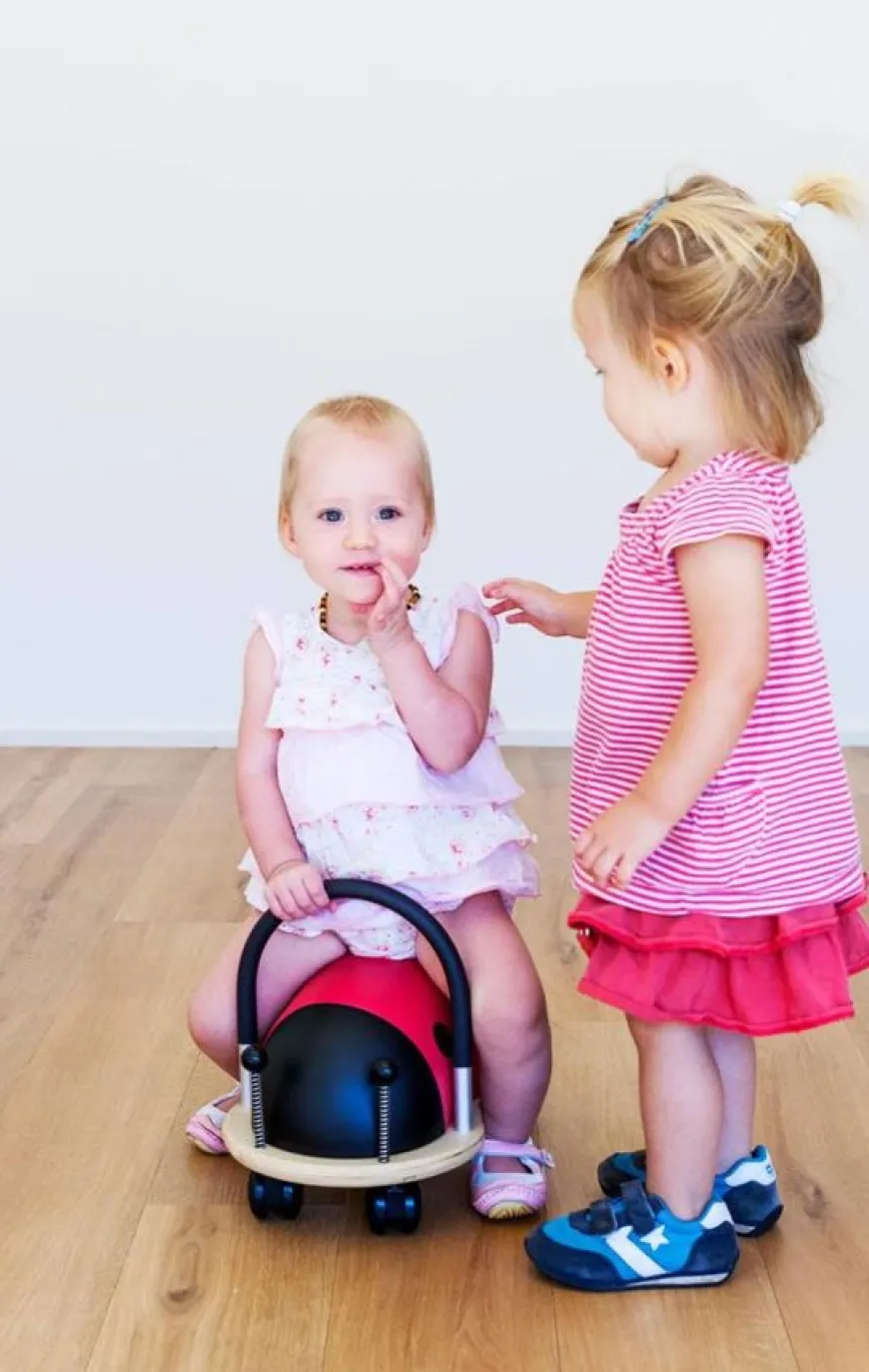 Wheely Bug Loopwagen - Lieveheersbeestje